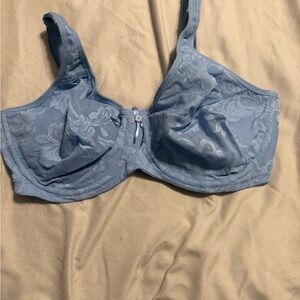 Chic Blue Floral Lace Bra